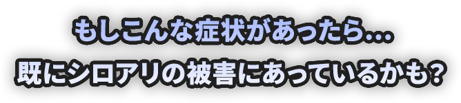 もしこんな症状があったら…既にシロアリの被害にあっているかも?