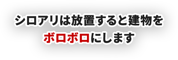 シロアリは放置すると建物をボロボロにします