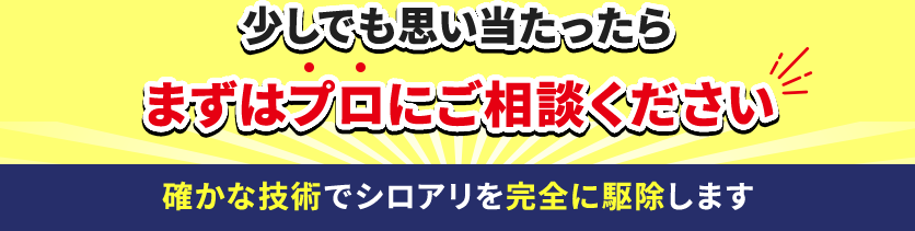 少しでも思い当たったらまずはプロにご相談ください 確かな技術でシロアリを完全に駆除します