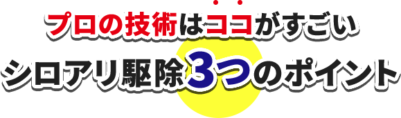 プロの技術はココがすごいシロアリ駆除3つのポイント