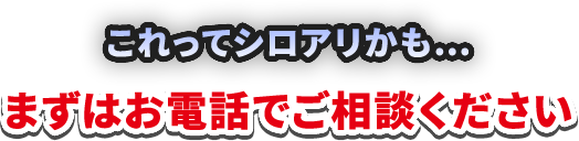 これってシロアリかも… まずはお電話でご相談ください